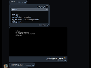 Open Terminal in Telegram